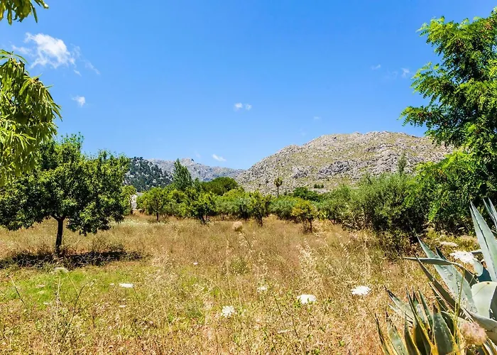 Cuxac De Na Joana * Pollensa